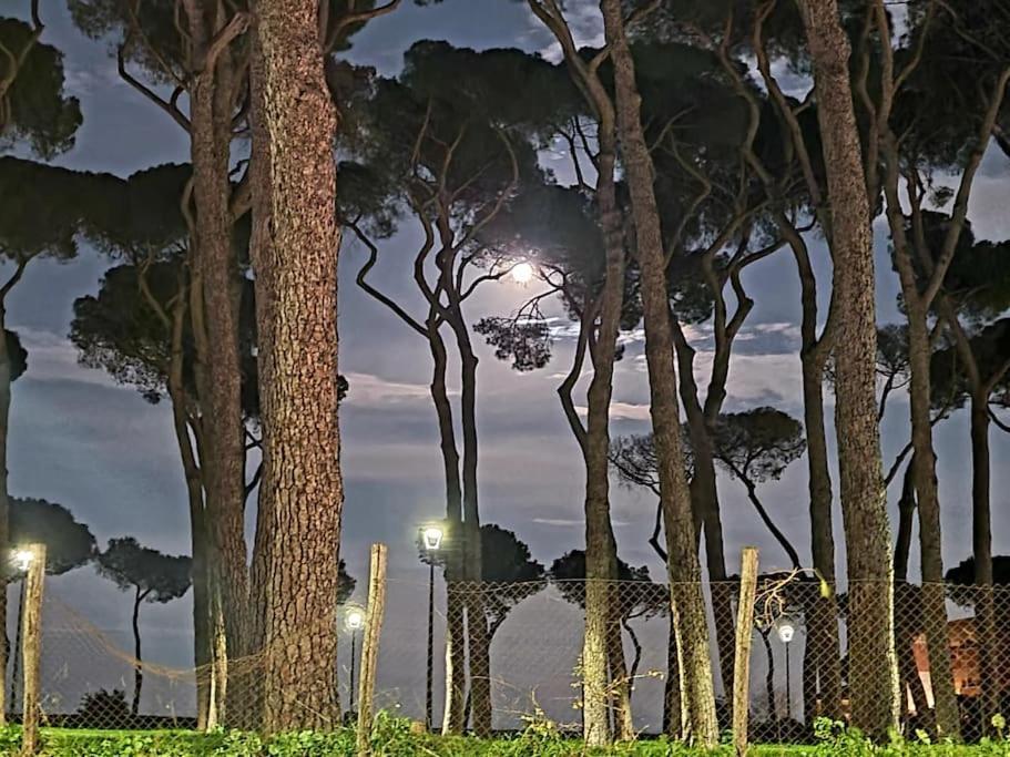 Вілла La Casa Della Pineta Рим Екстер'єр фото